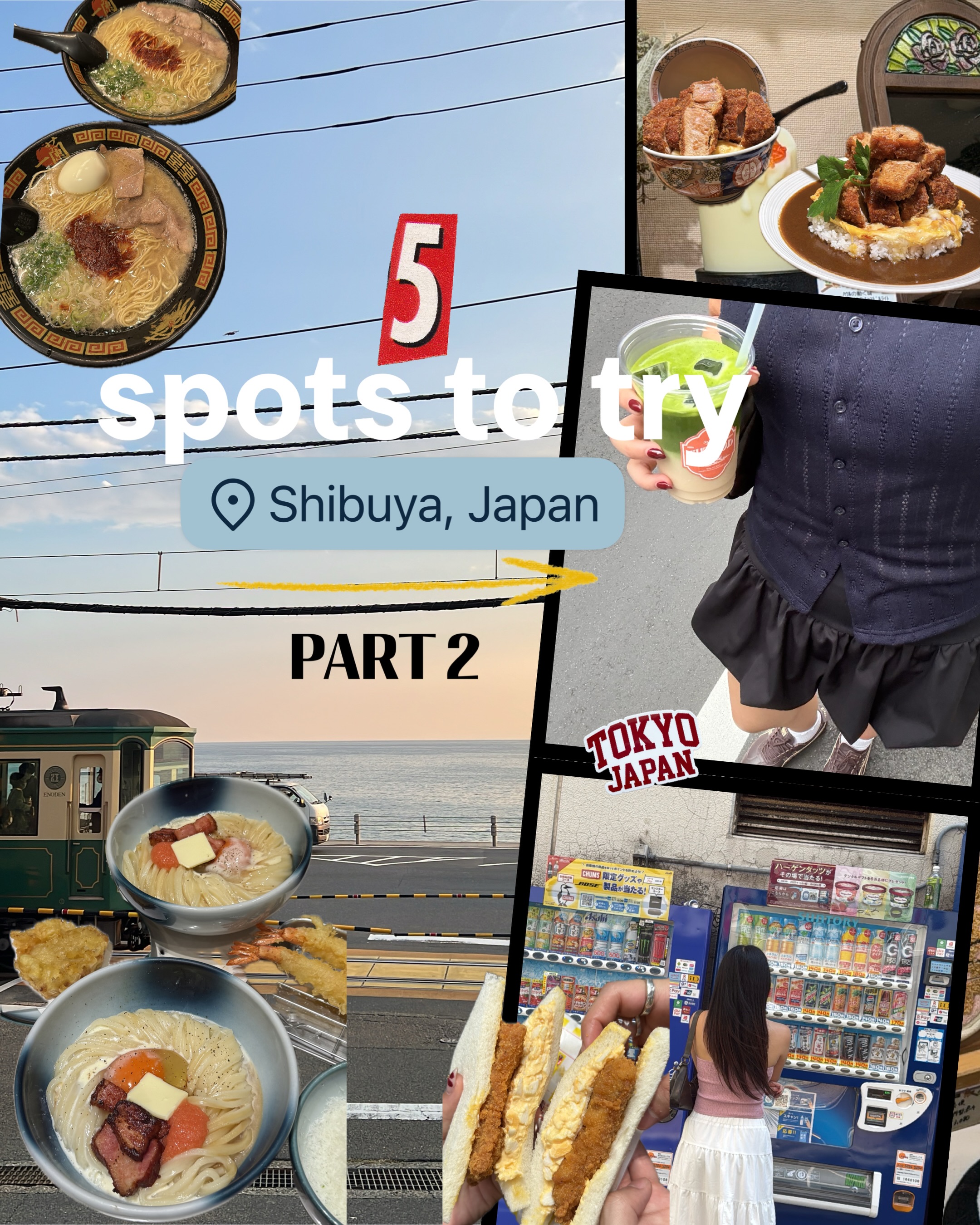 Shibuya Dining Hotspots: A Culinary Tour