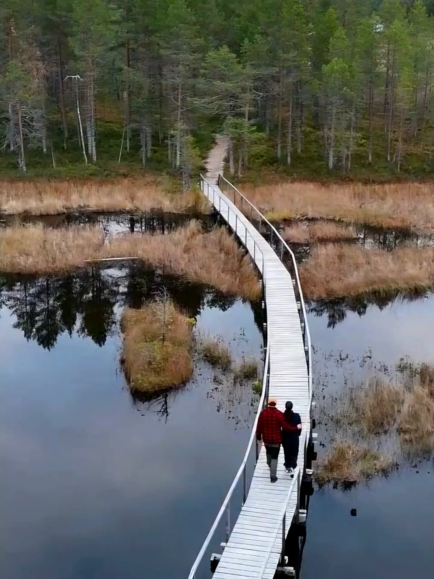Finnish Lakeside Destinations For Autumn Beauty