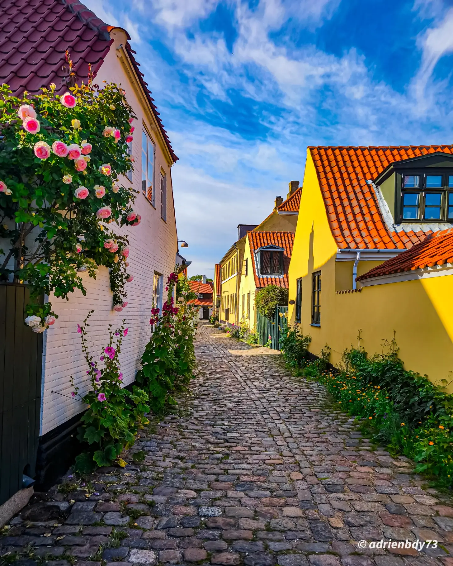 Charming Danish Fishing Village Near Copenhagen