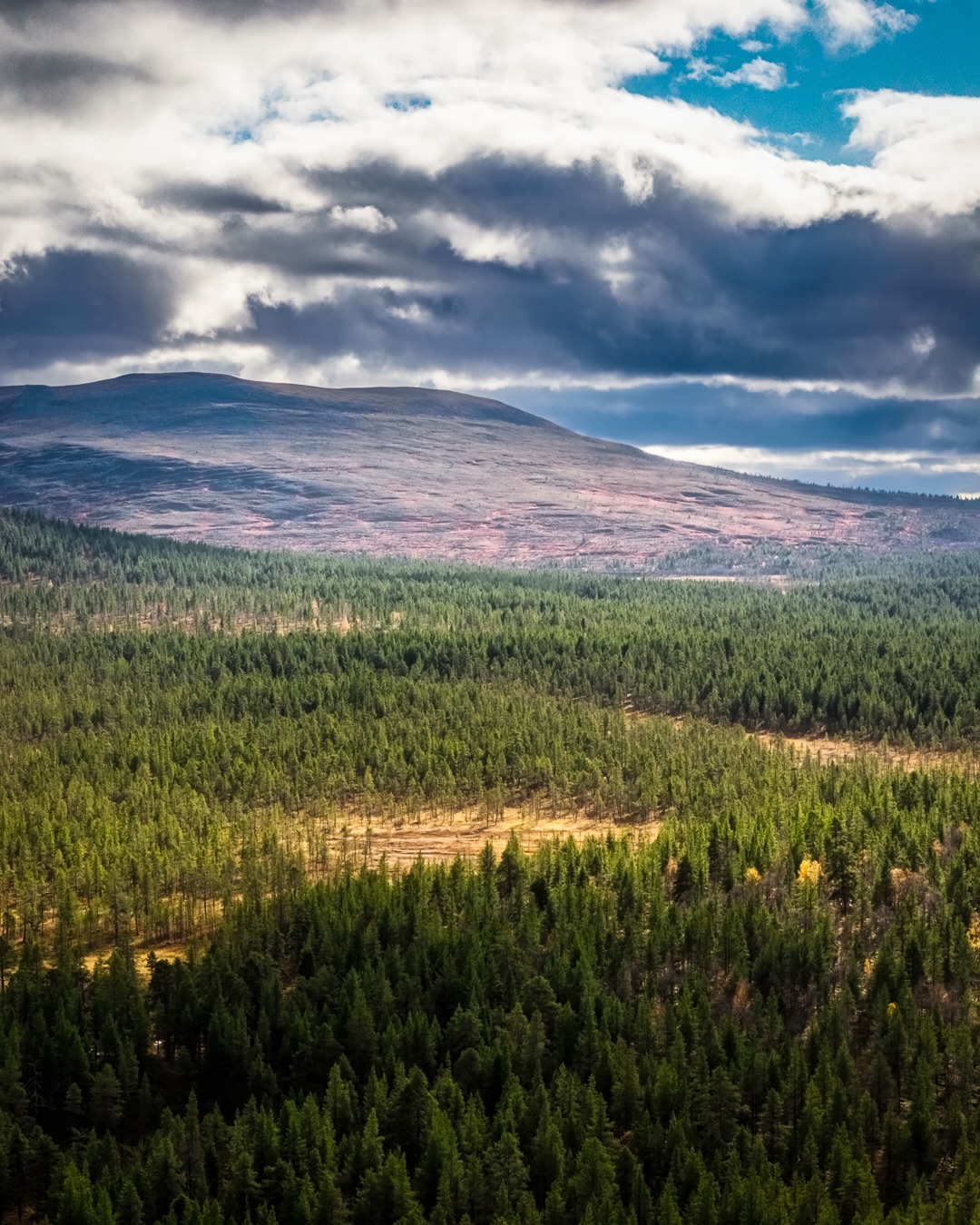 Finnish National Park and Village Views