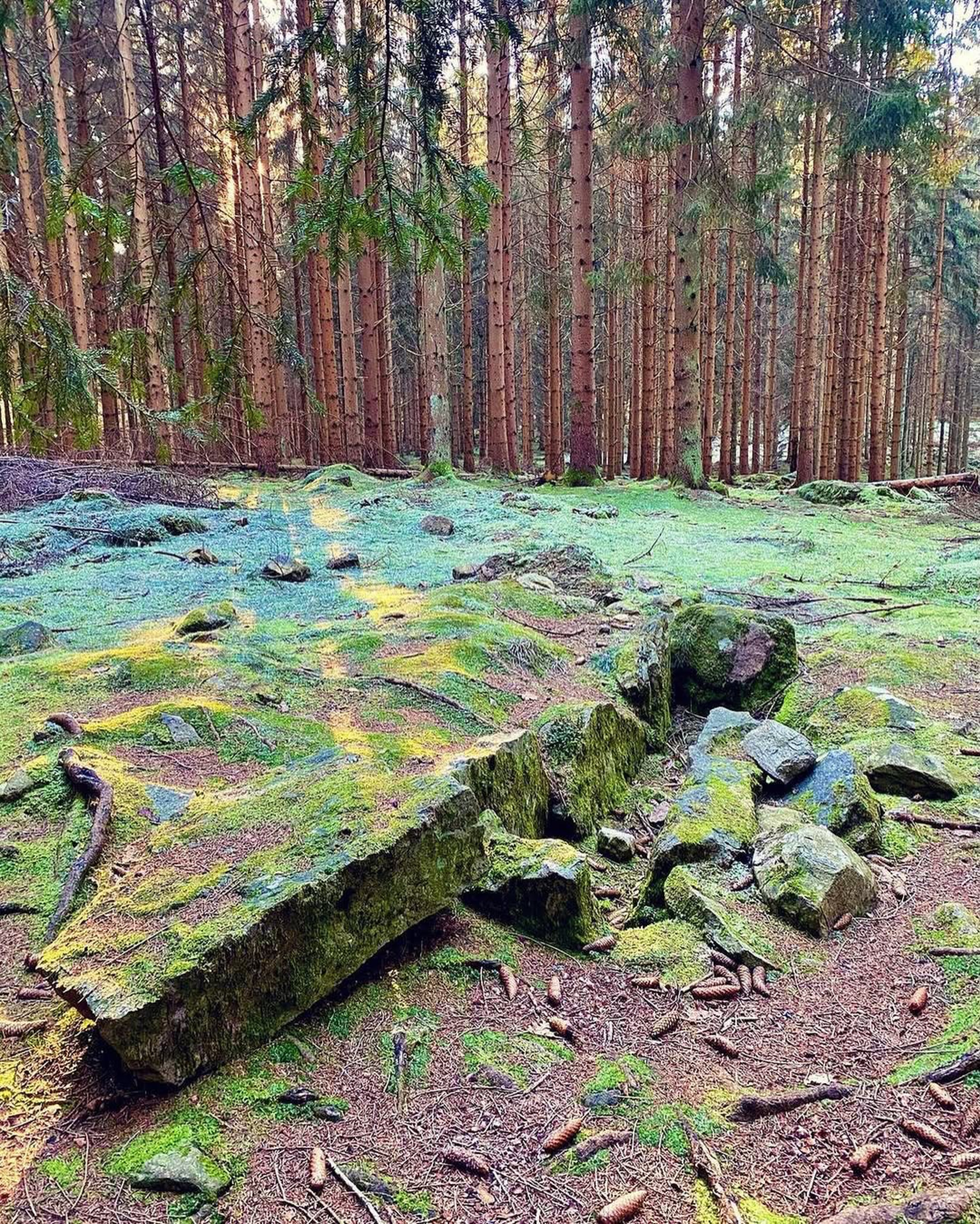 Fulltofta Nature Area's Ancient Monuments