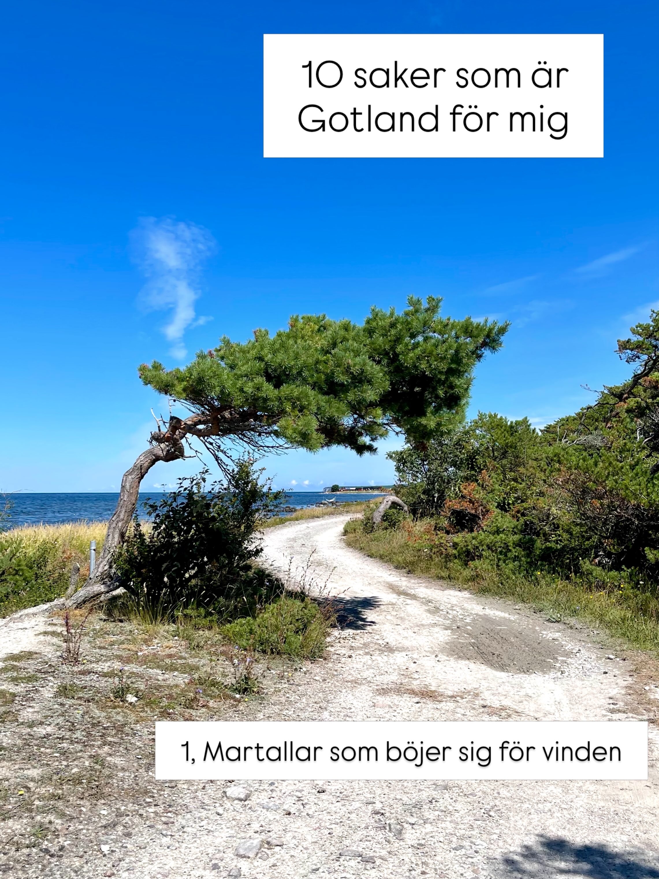 Gotland's Defining Natural Beauty and Villages