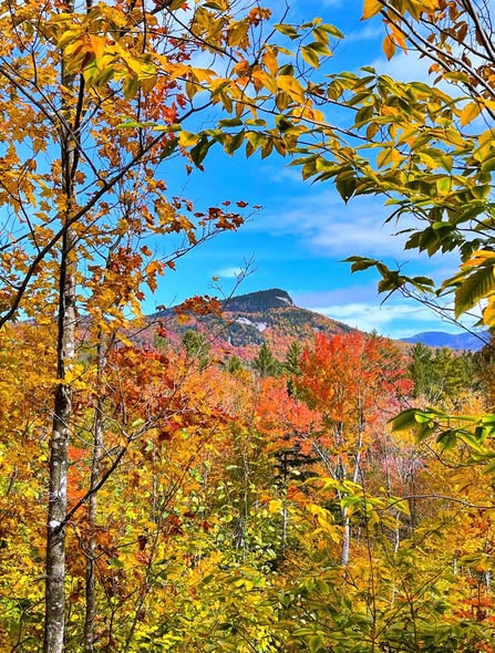 Scenic Stops Along New Hampshire's Kancamagus Highway