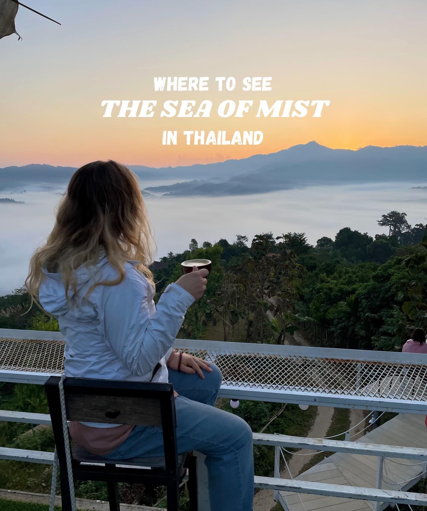 Northern Thailand's Best Sea of Mist Viewing Spots