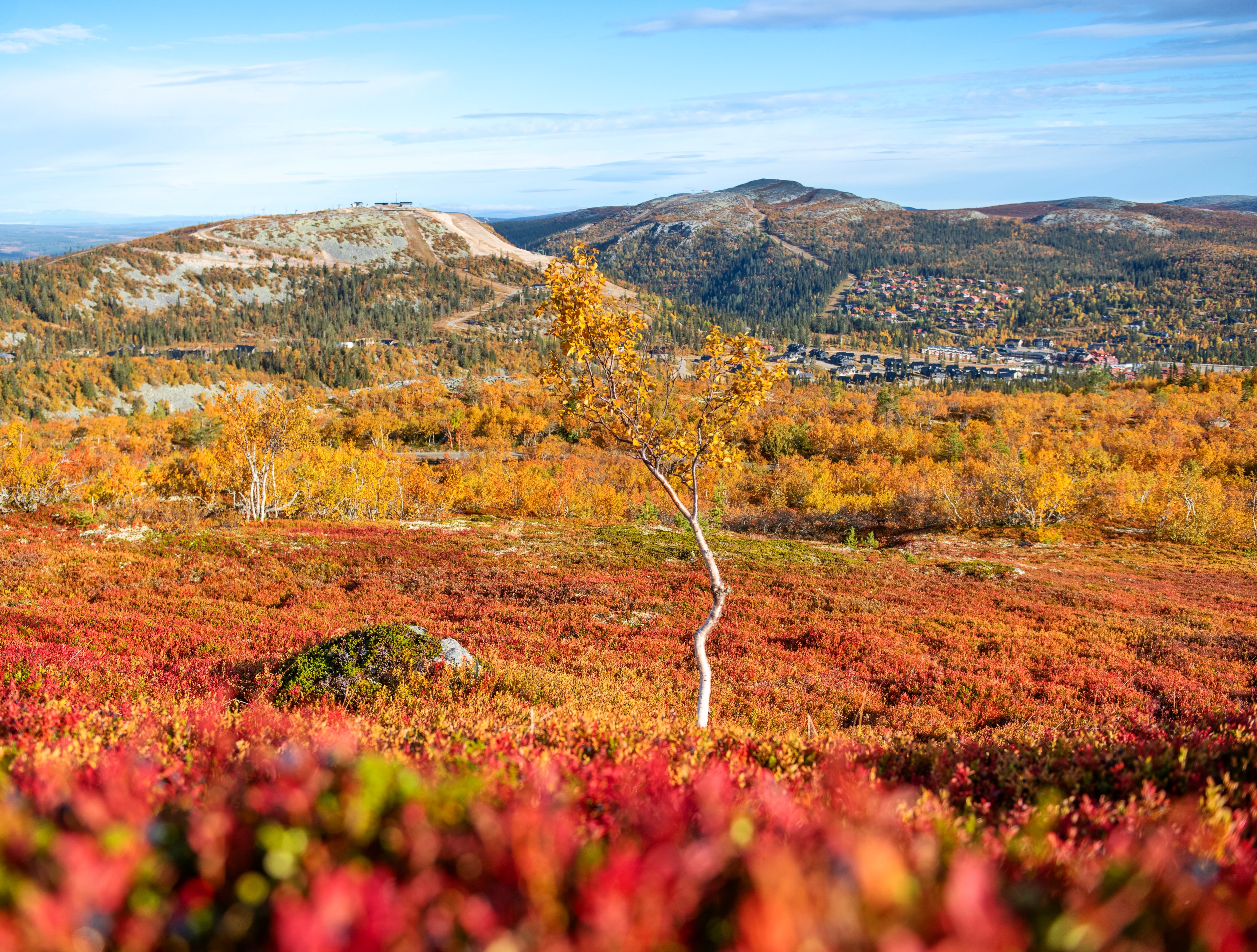 Swedish Mountains Feature Autumnal Colors