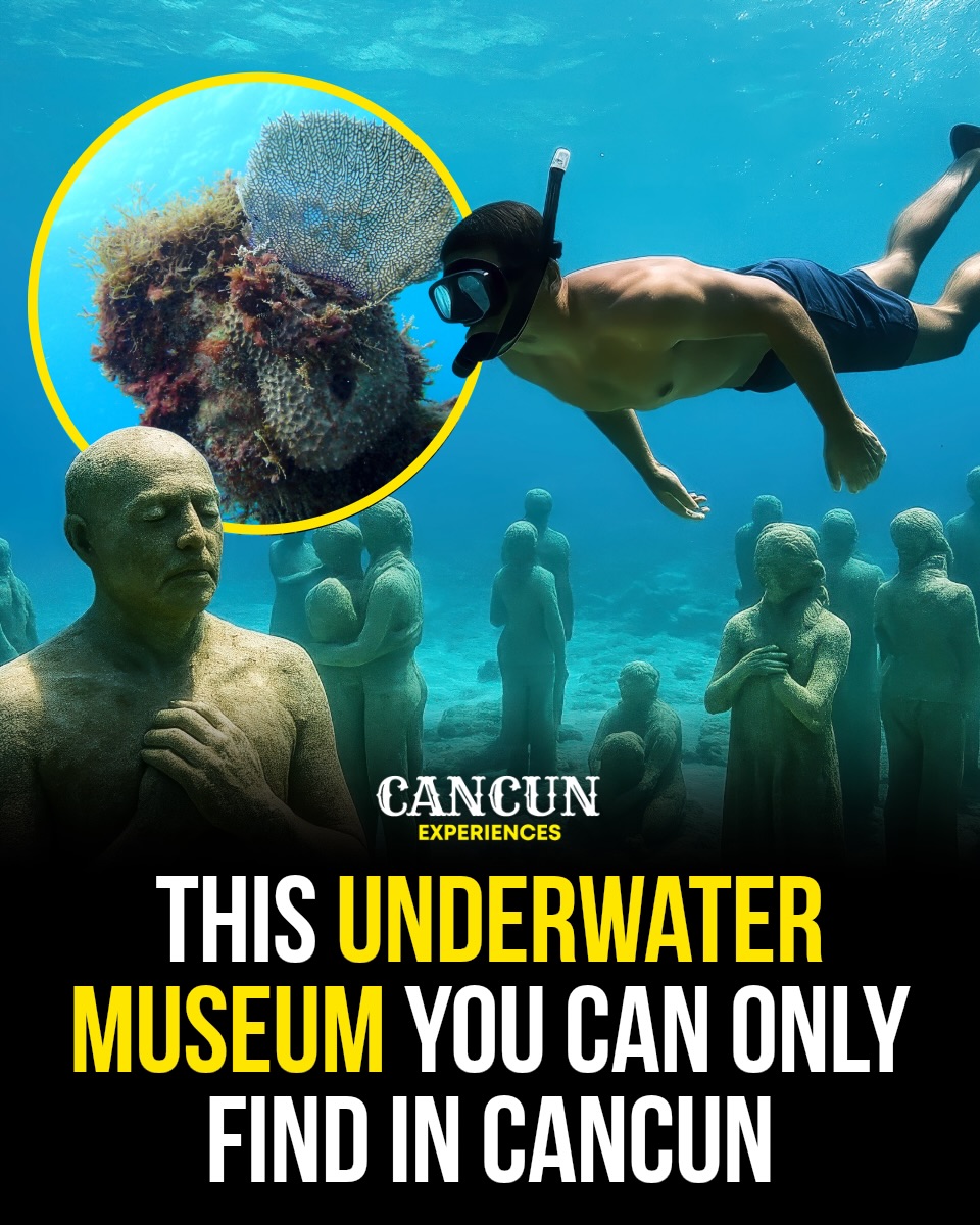 Cancun Underwater Museum Encourages Marine Life