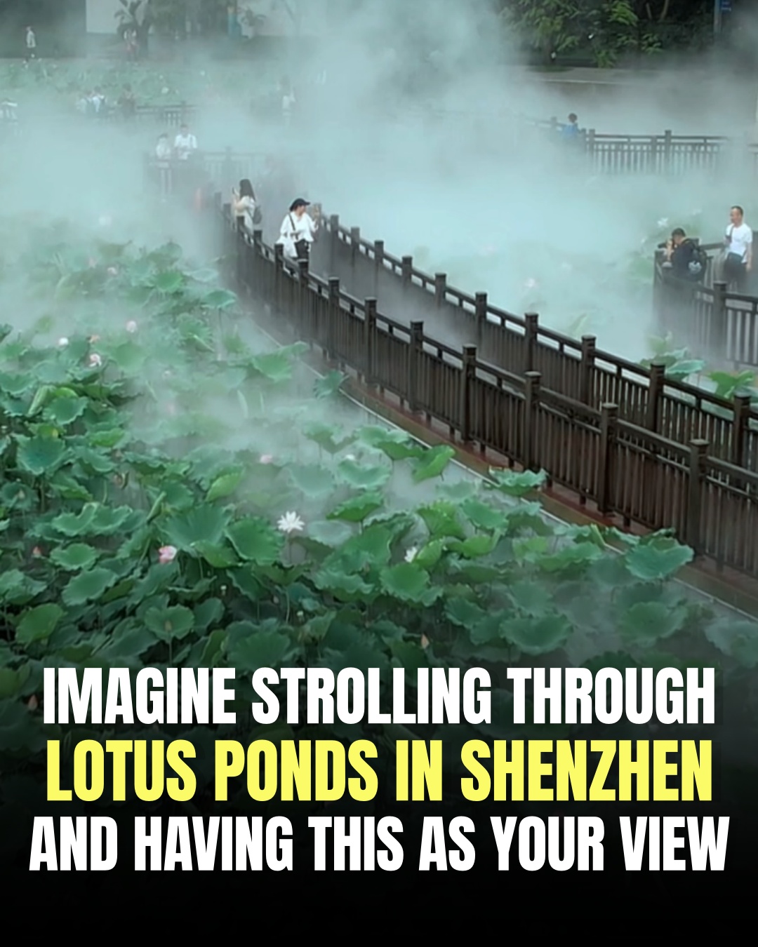 1 Parks in Shen Zhen Shi