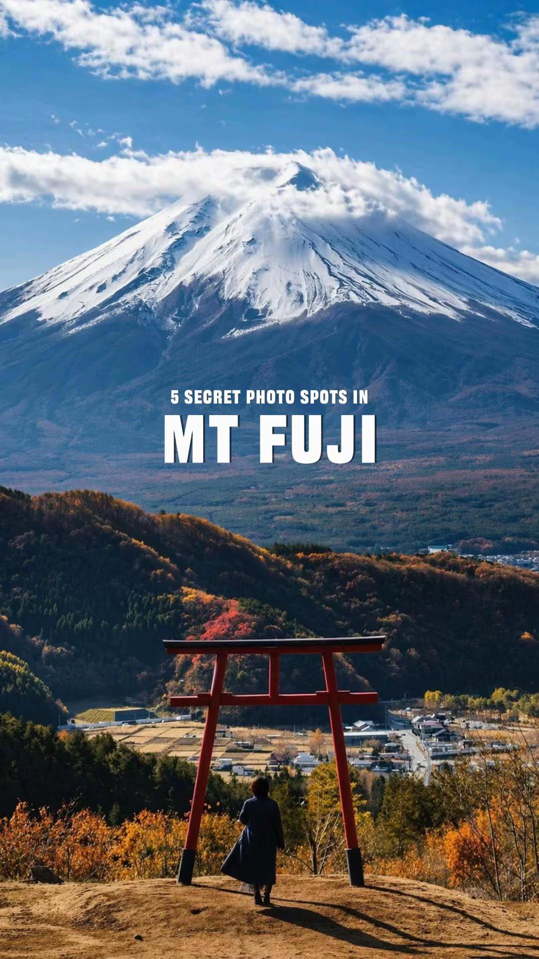 Fuji Five Lakes And Mount Fuji Views
