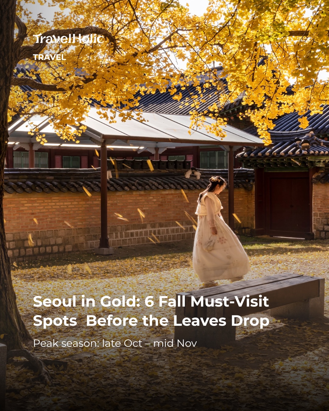 Seoul's Best Parks and Streets for Autumn Foliage