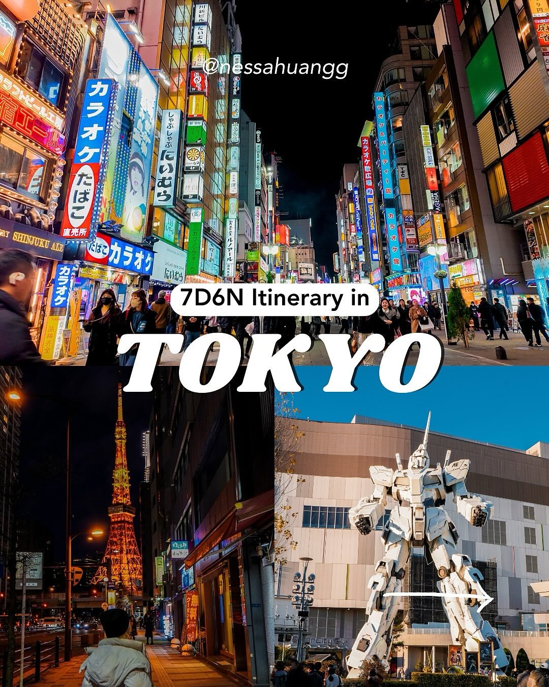 Tokyo, Hakone, and Kamakura: A 7-Day Japanese Adventure