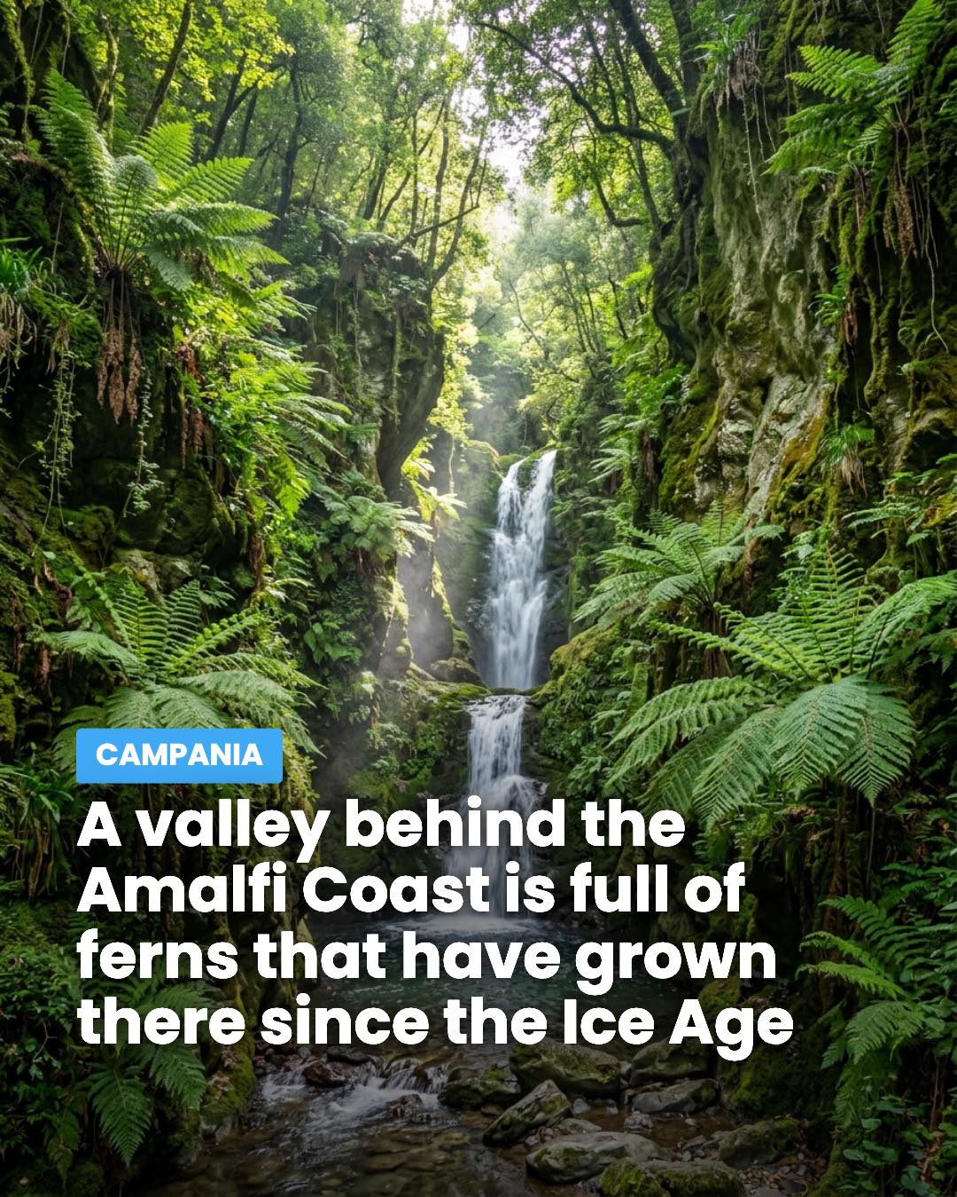 Ice Age Ferns Flourish in Amalfi Coast Valley