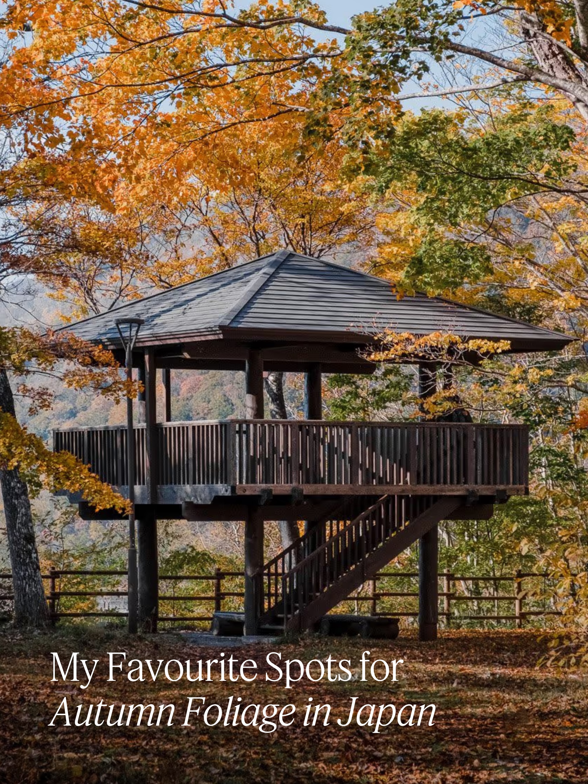 Japan's Best Autumn Foliage Destinations