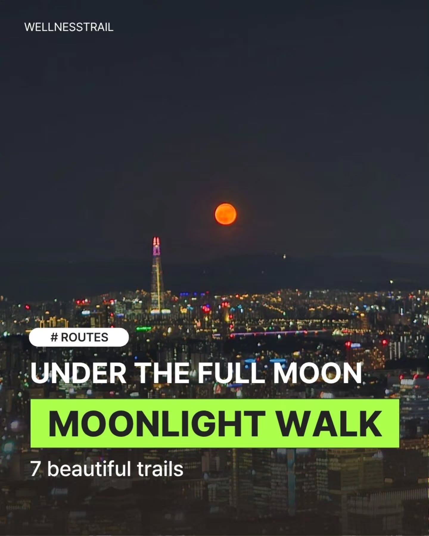 Korean Trails For A Luminous Moonlight Stroll