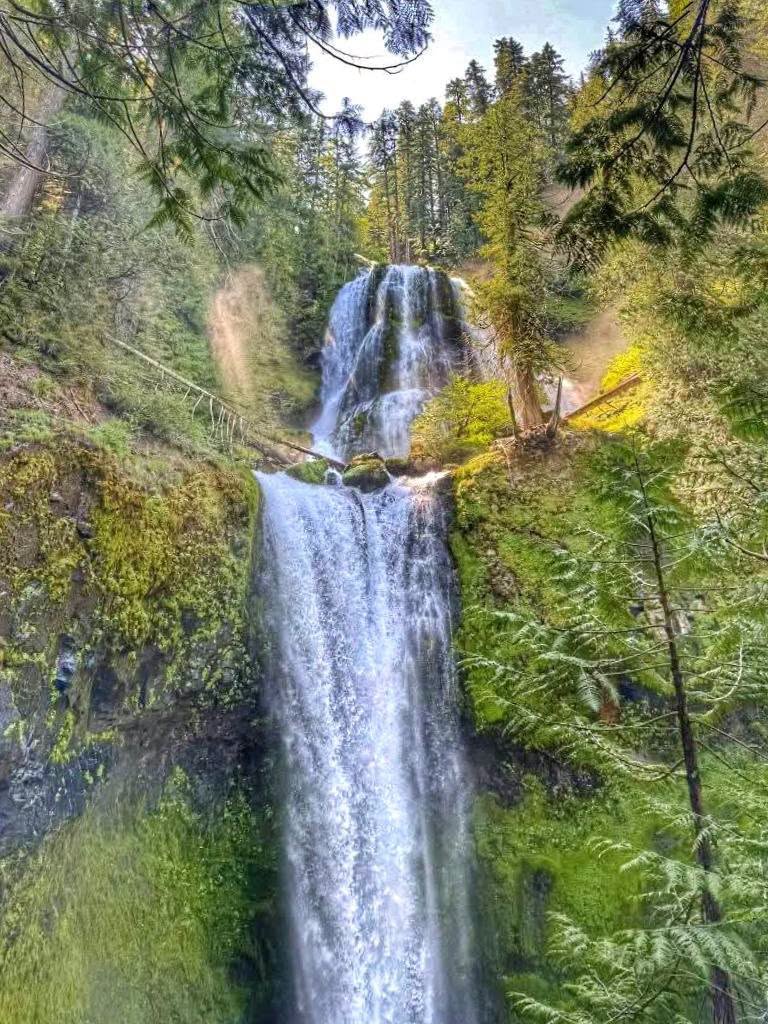 Washington Forest Trails Feature Waterfalls