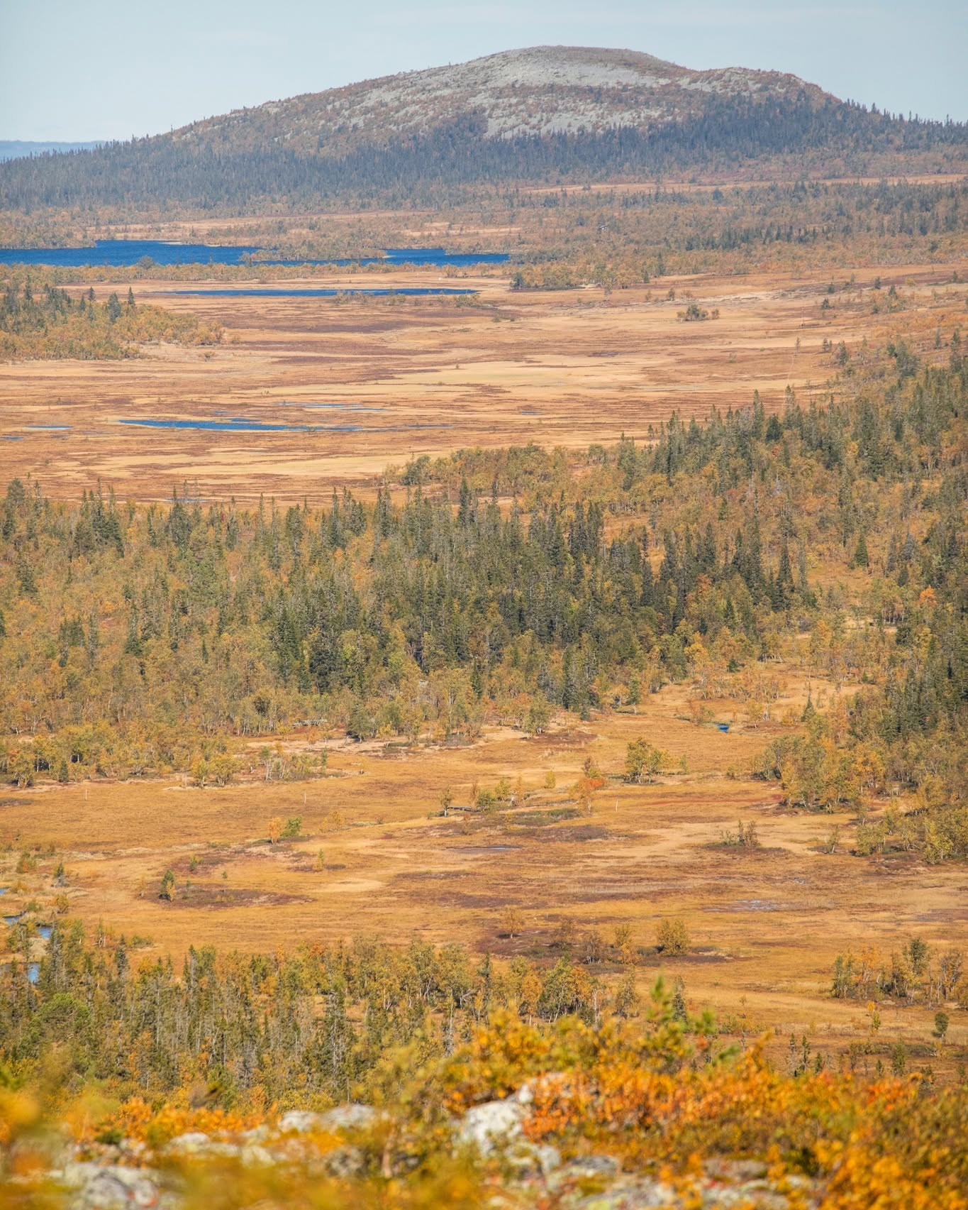 New Viewpoint Along Scenic Mountain Roads