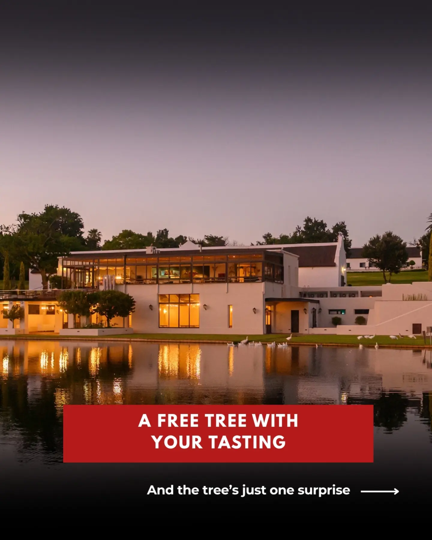 Webersburg Wine Estate Offers Wine and Luxury Stays