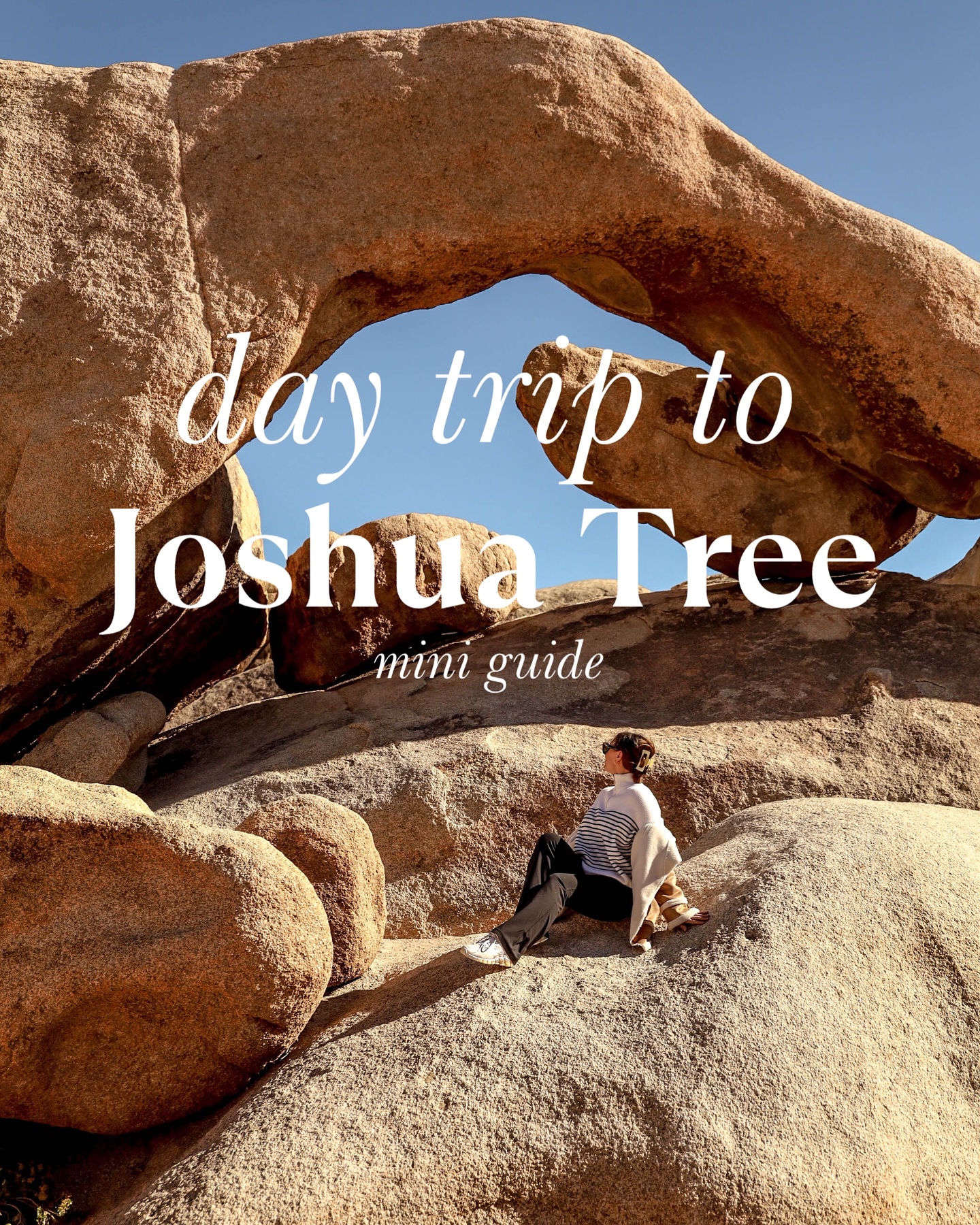 Joshua Tree National Park Day Trip Guide