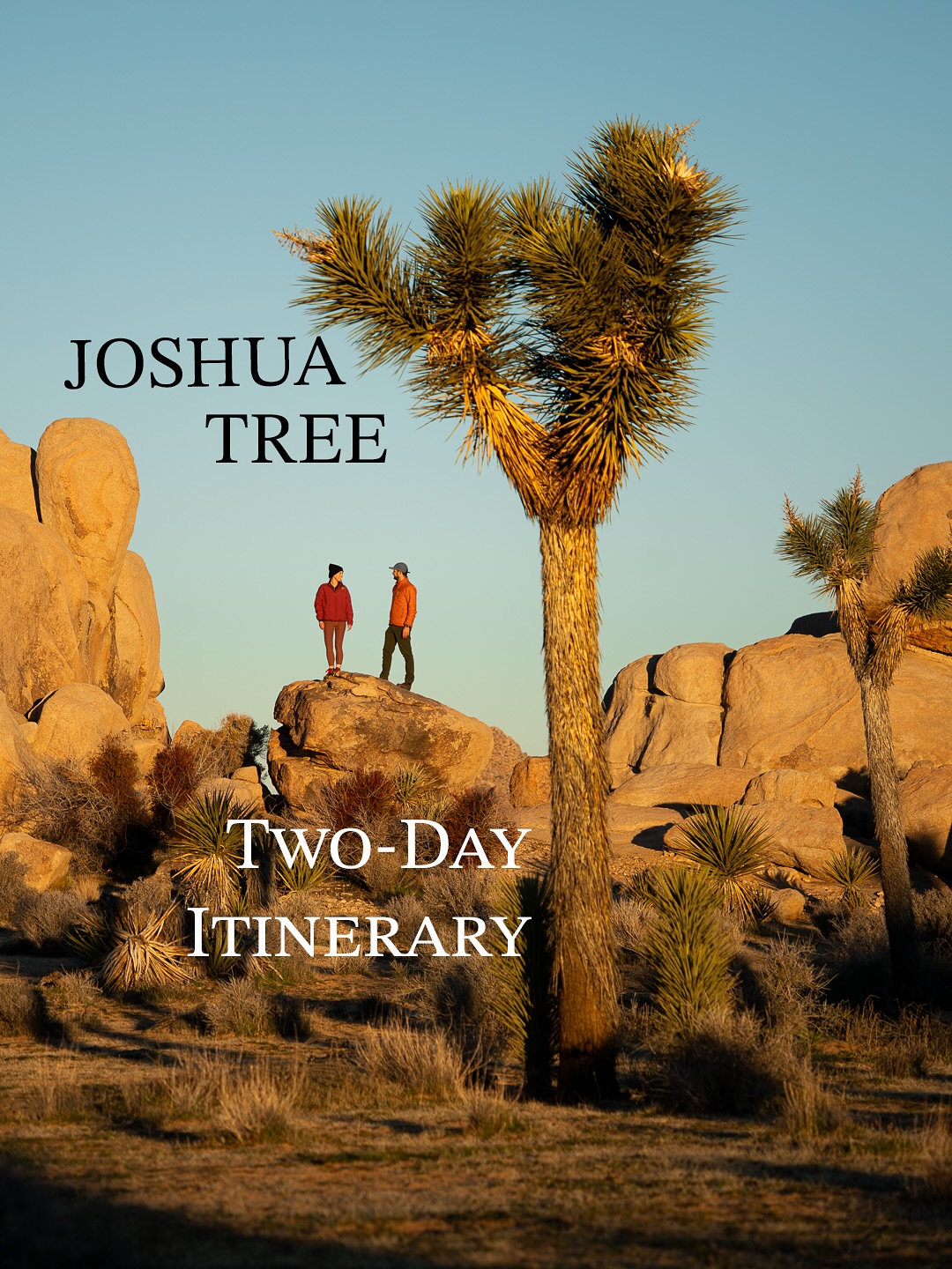 Two Days Exploring Joshua Tree National Park's Landscapes