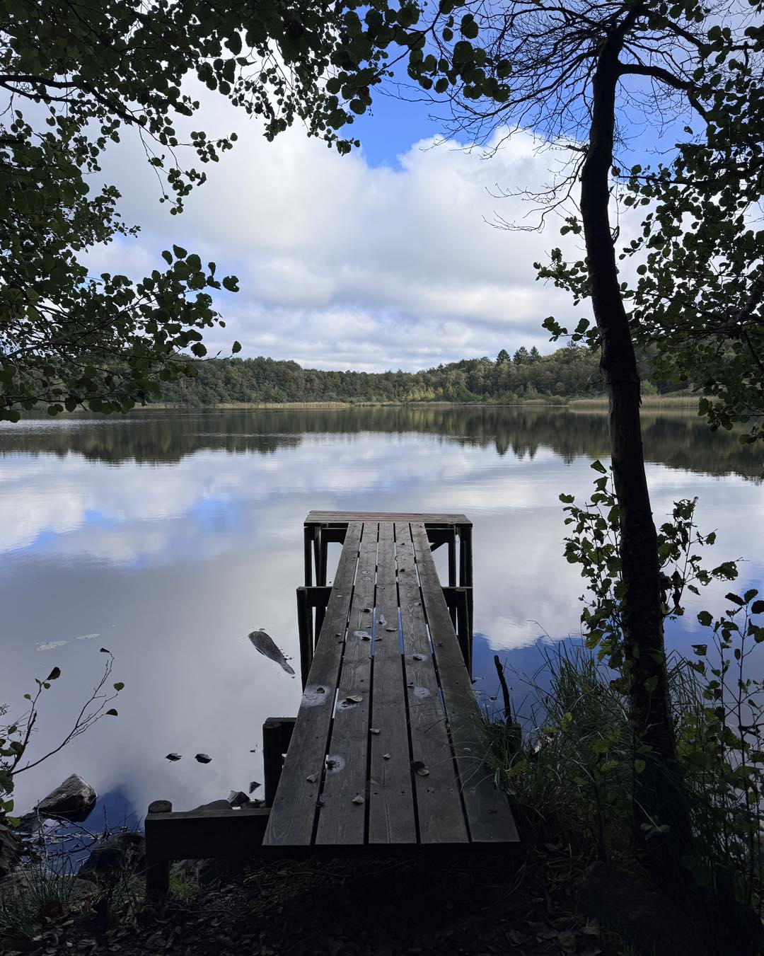 Skåneleden Hike Past Bronze Age Sites