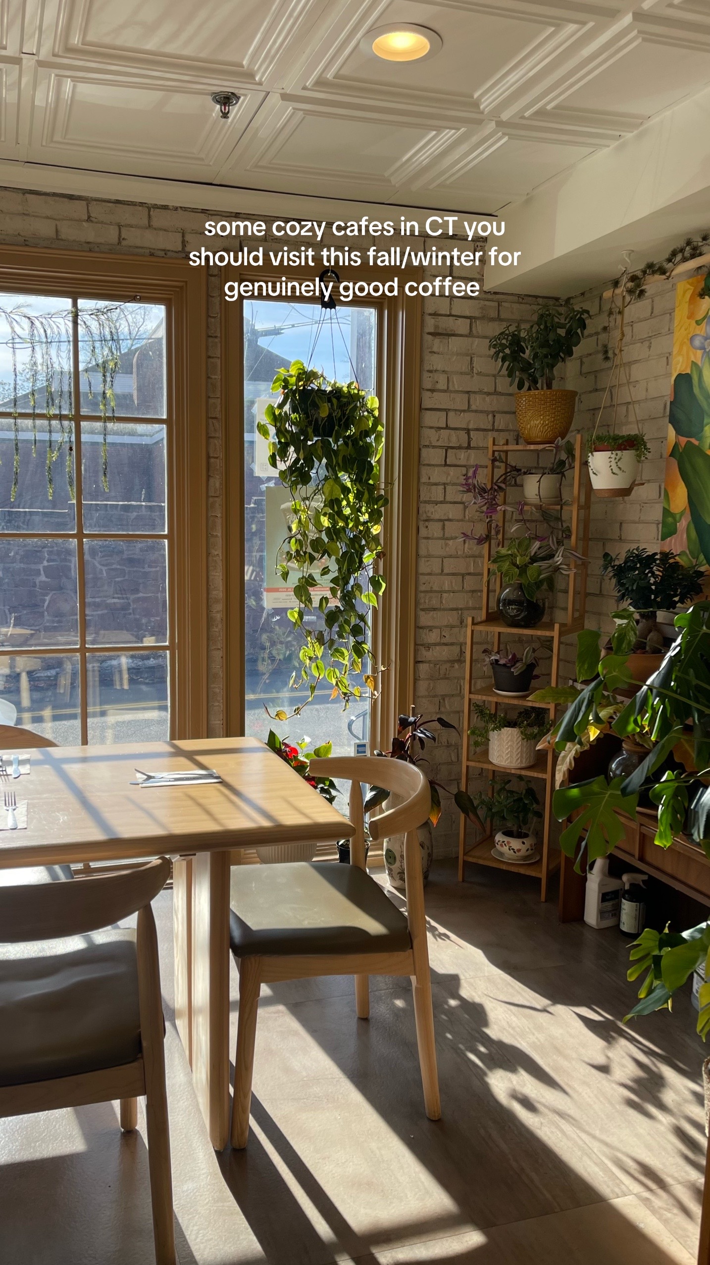 City Coffee Shops