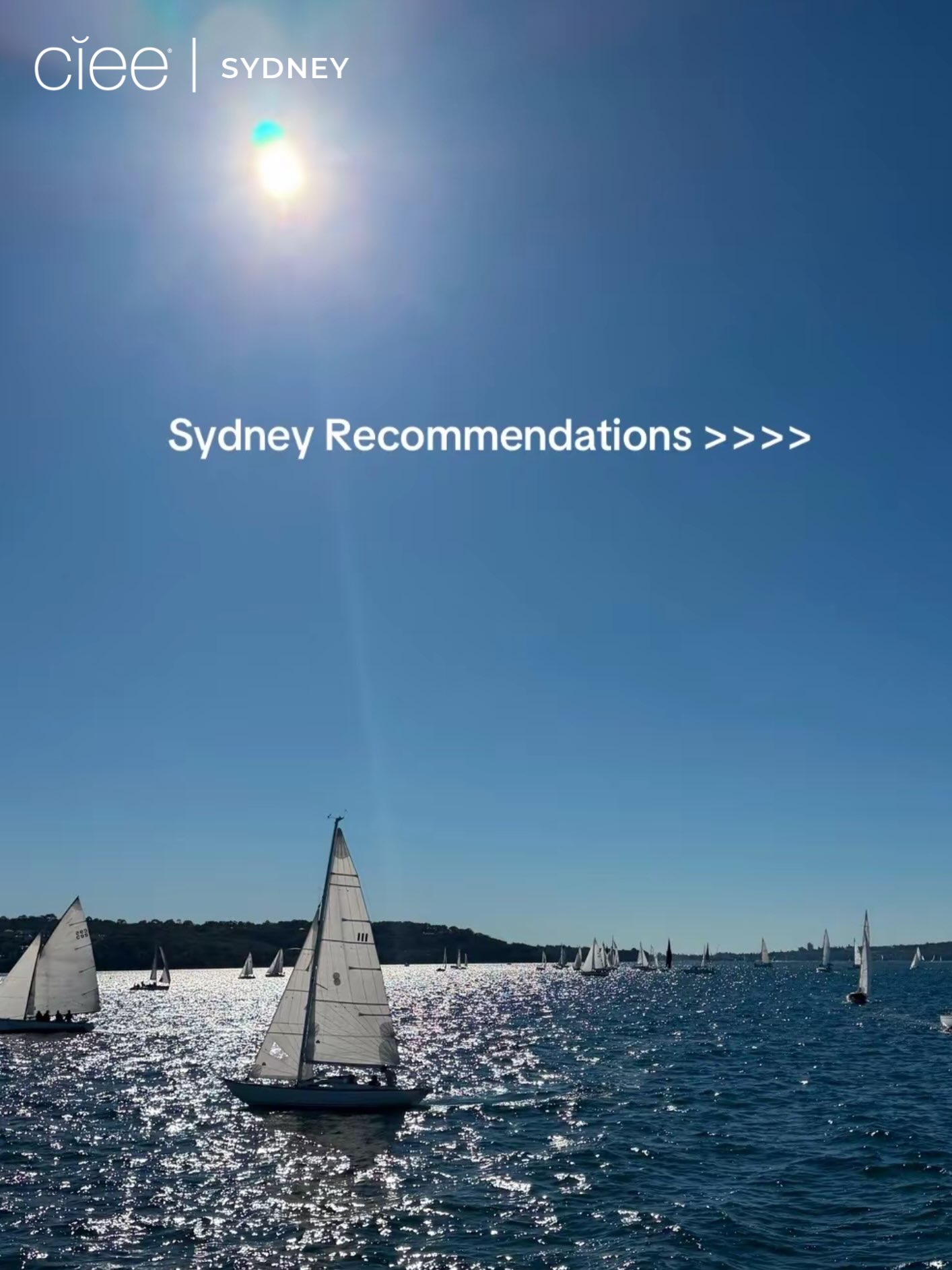 Sydney Destinations for Coastal Views and Drinks