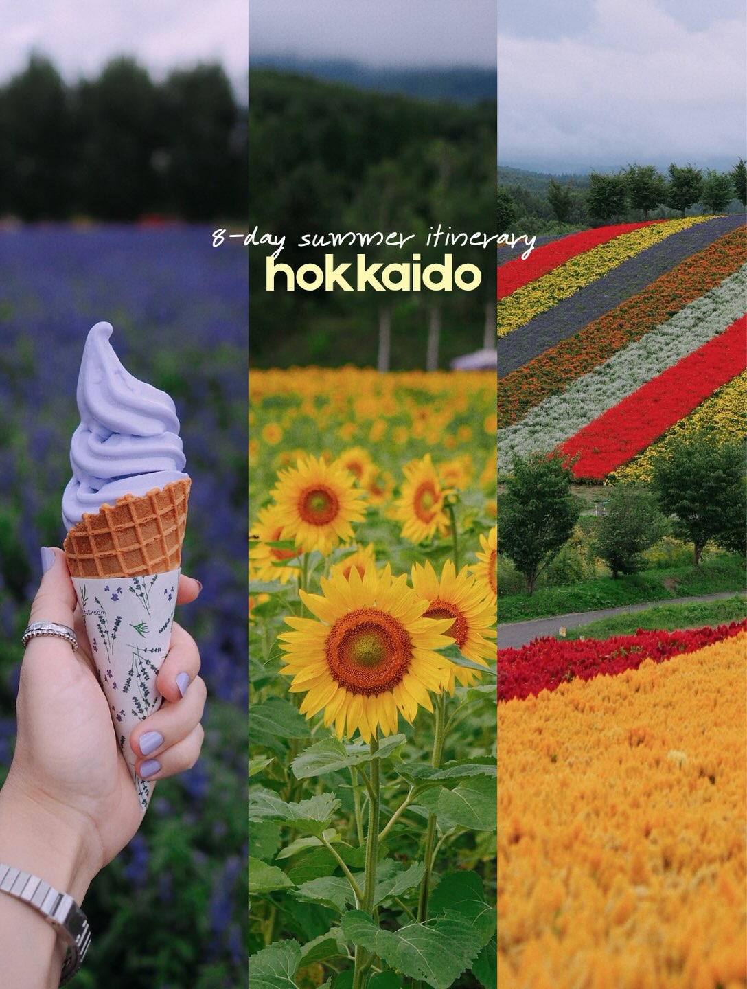 Hokkaido Summer Exploration of Parks, Shrines, and Farms