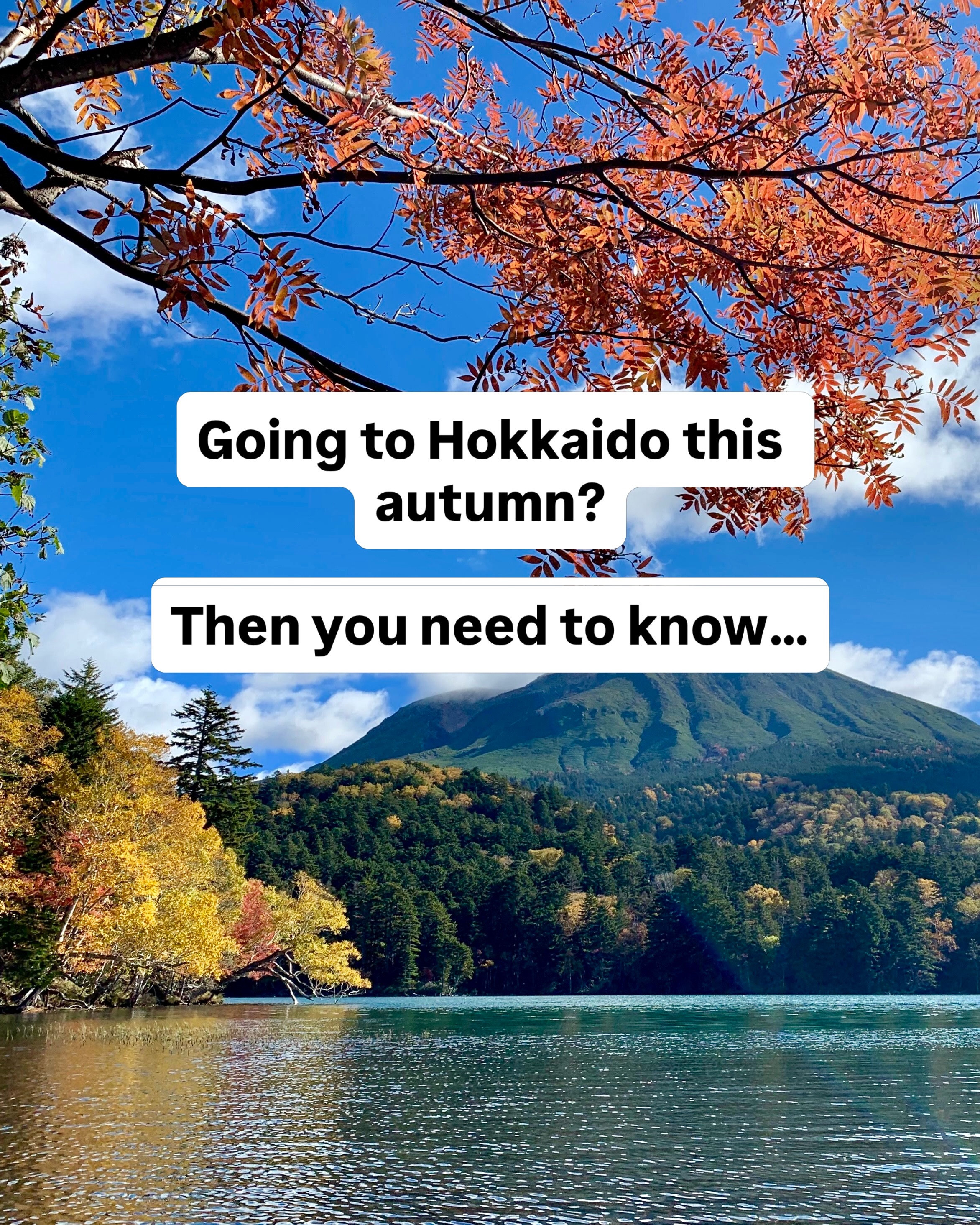 Hokkaido's Top Autumn Foliage Viewing Spots