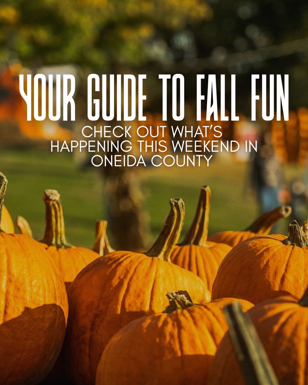 Fall Events And Activities In Oneida County