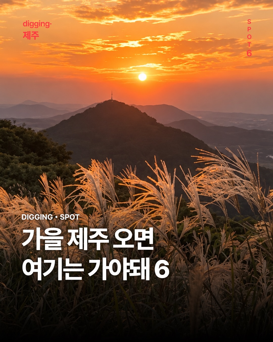 Jeju's Top Six Silvergrass Trails and Autumn Scenery