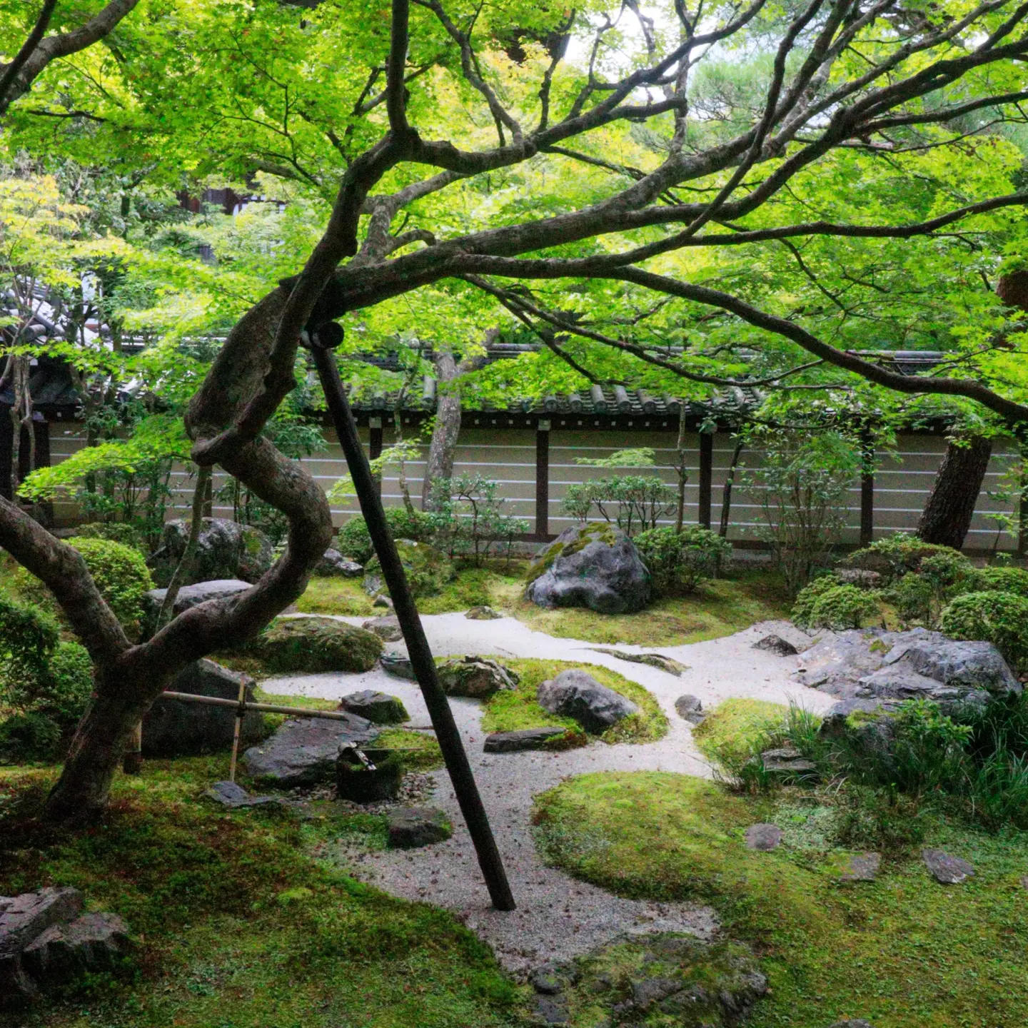 Kyoto's Eikando Zenrinji Temple
