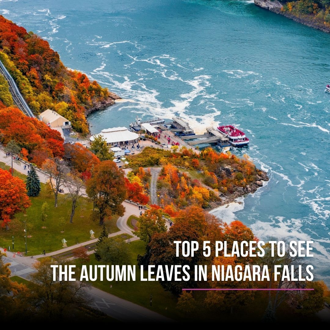 Niagara Falls Fall Color Adventures