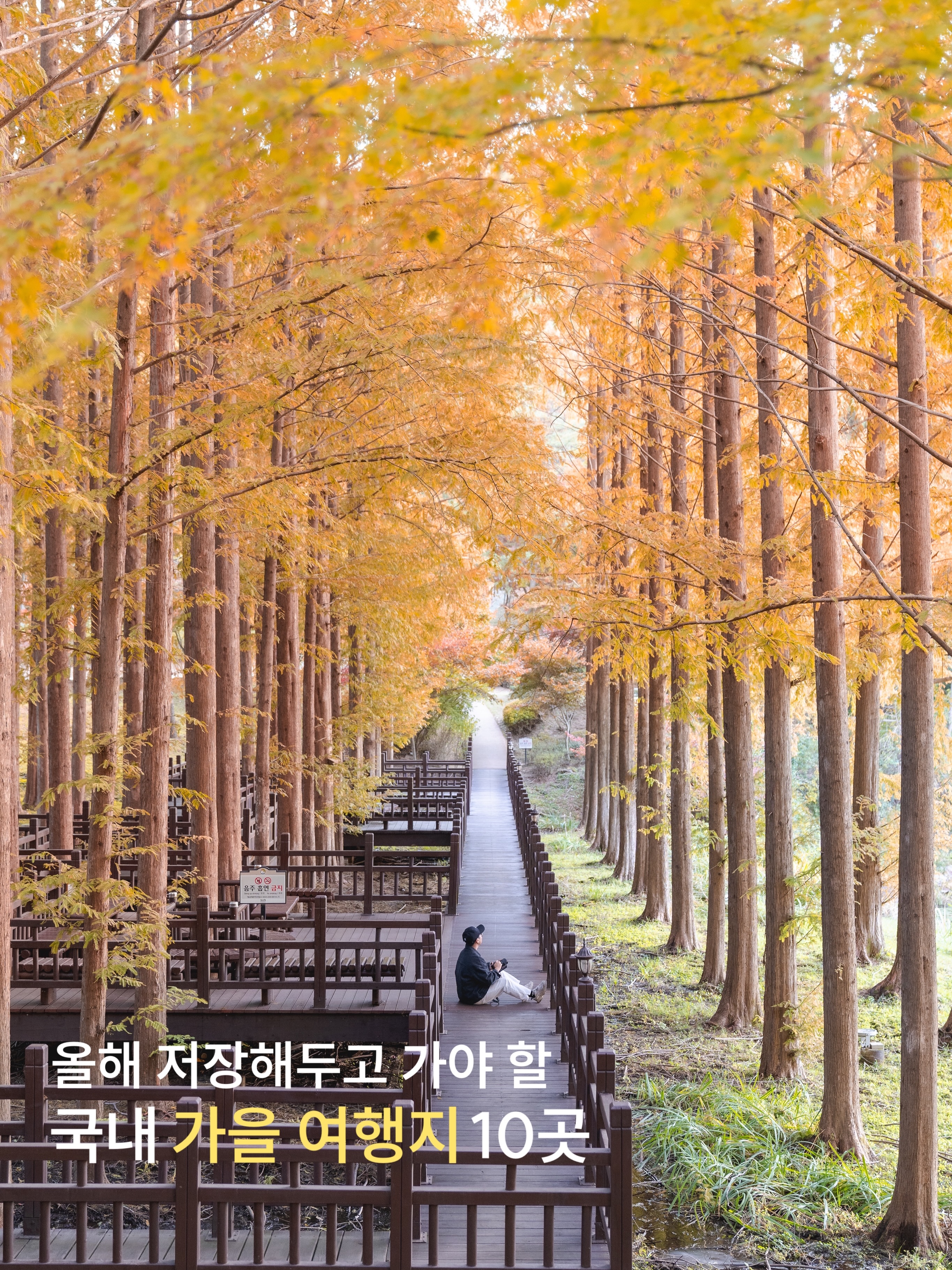 Eight Autumn Destinations in Korea