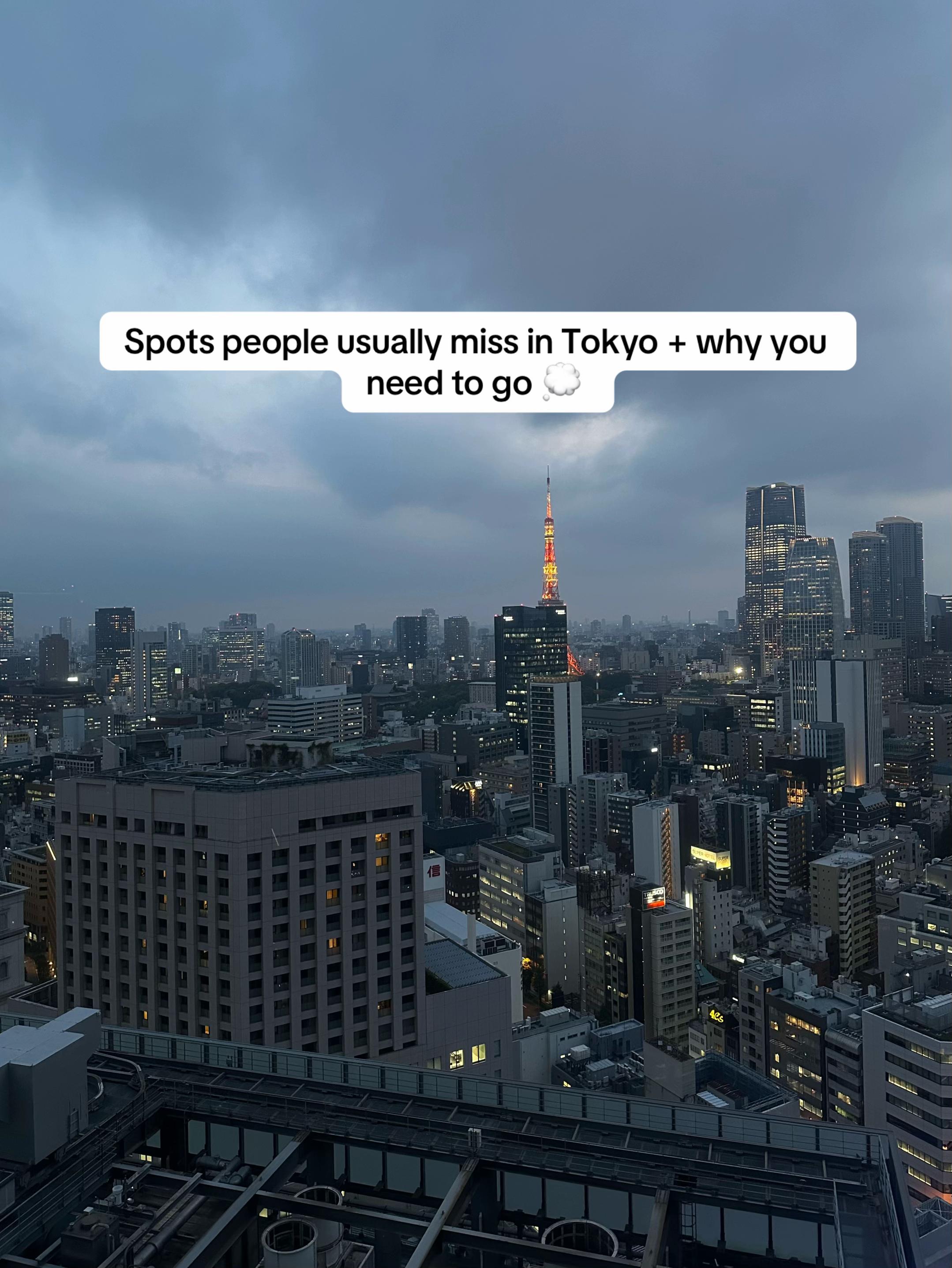Tokyo's Unique Entertainment and Shopping Destinations