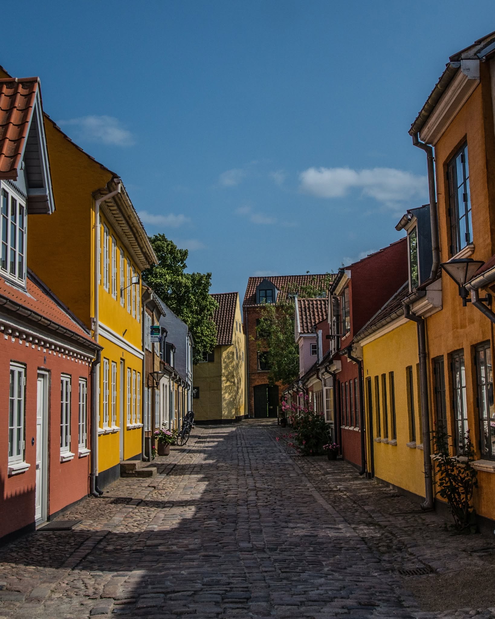 Odense: A City Steeped in Viking History
