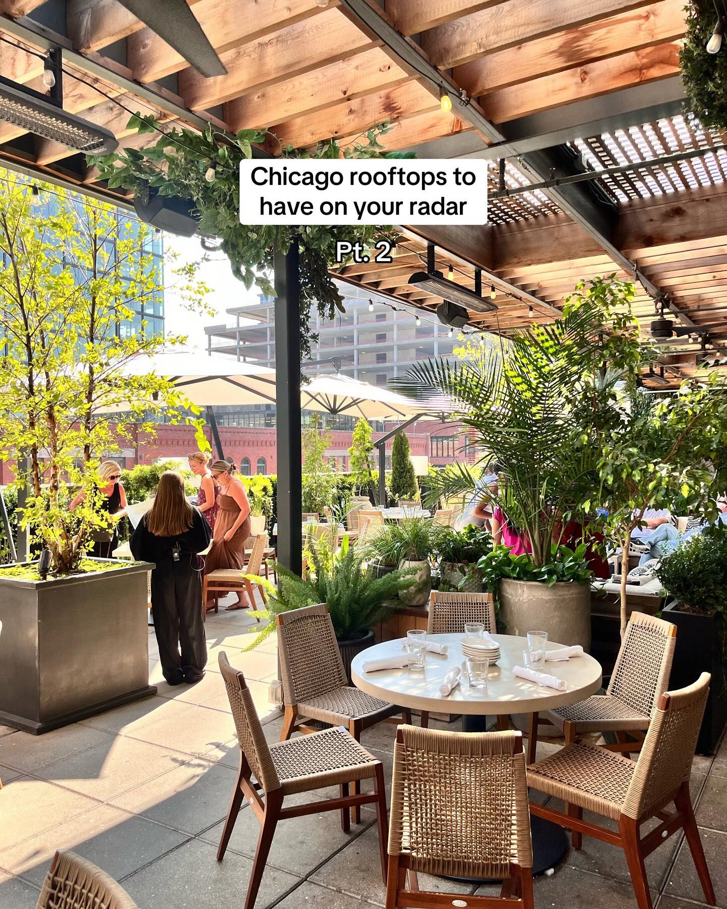Chicago Rooftop Bars Offer Scenic Dining and Drinks