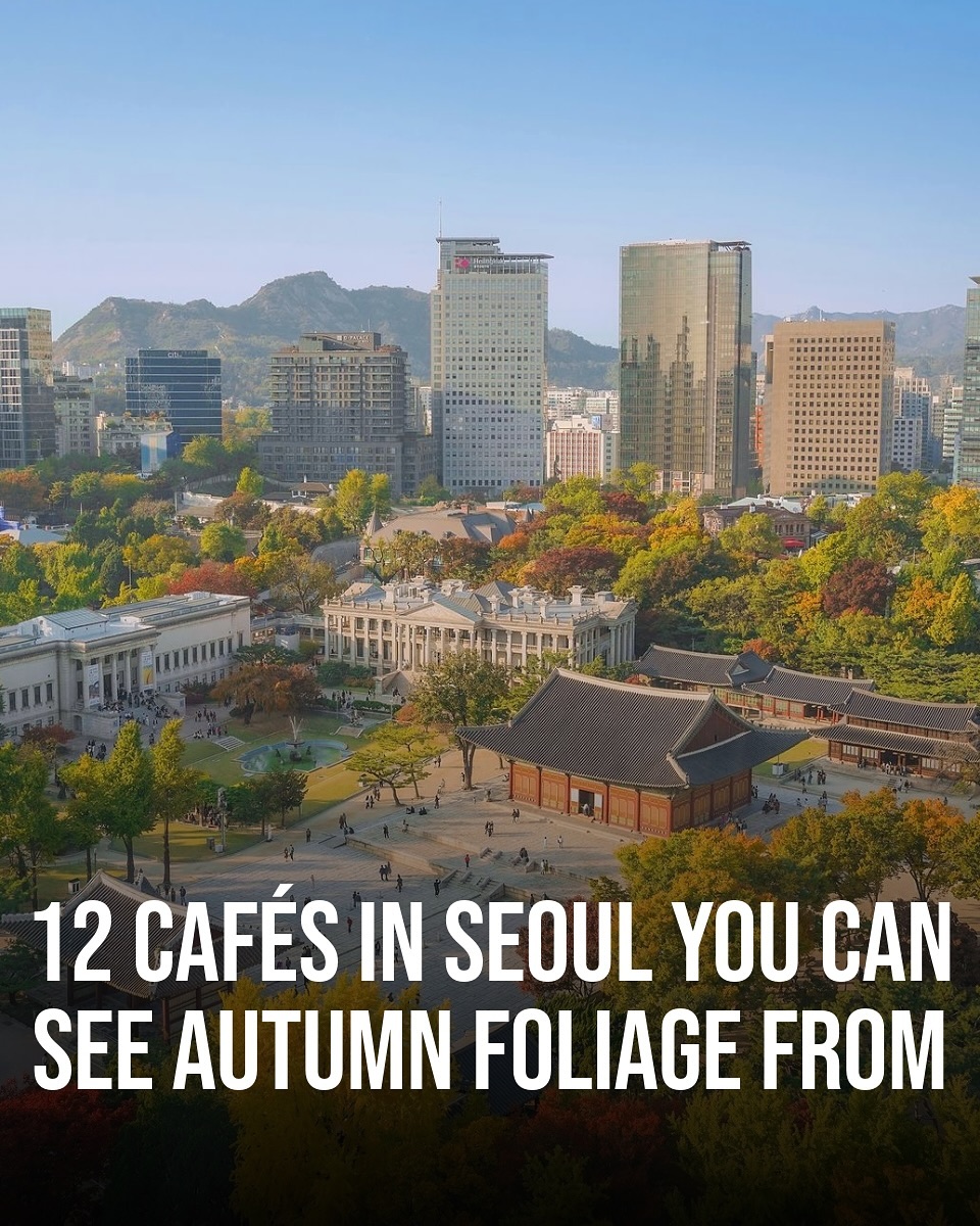 Seoul Cafes With Autumn Foliage Views