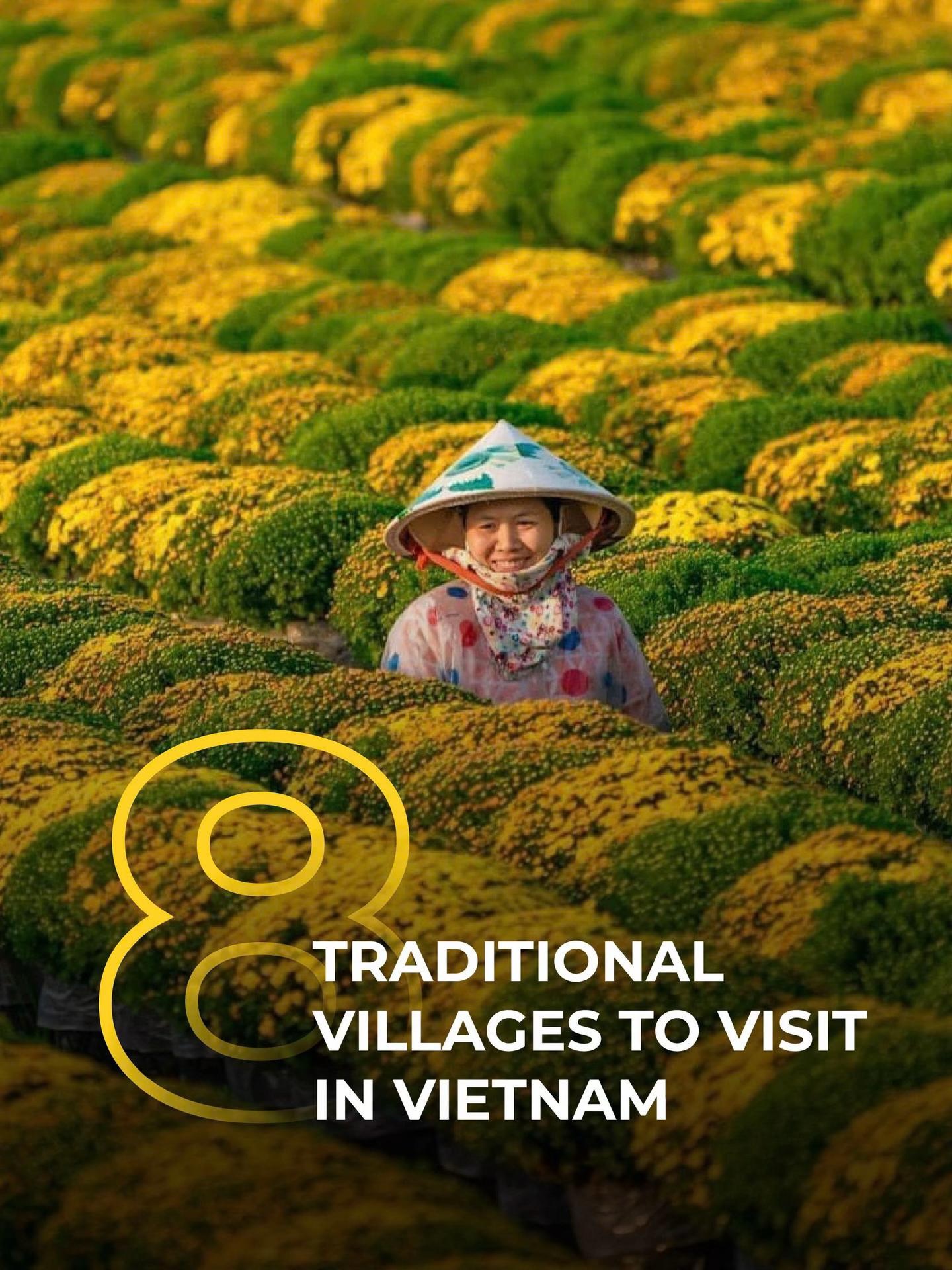 Traditional Vietnamese Villages Offering Cultural Immersion