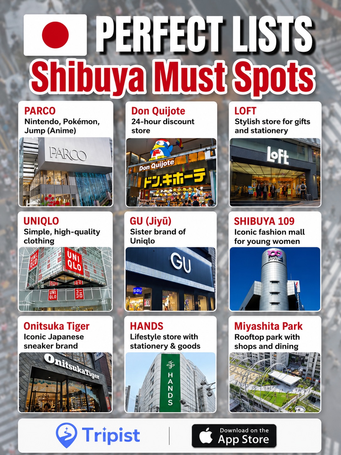 Tokyo Attractions: Shibuya, Asakusa, Shinjuku, and Ginza
