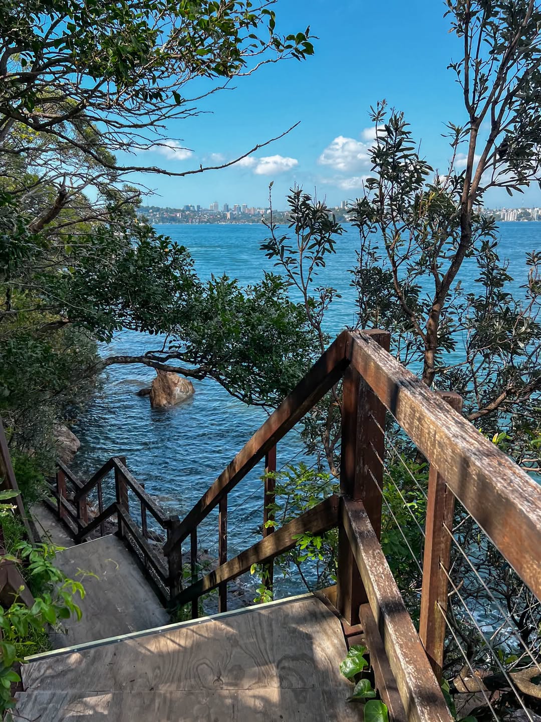 Sydney's Coastal Walks: Taronga to Balmoral