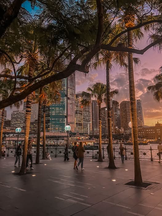 Circular Quay's Top Attractions