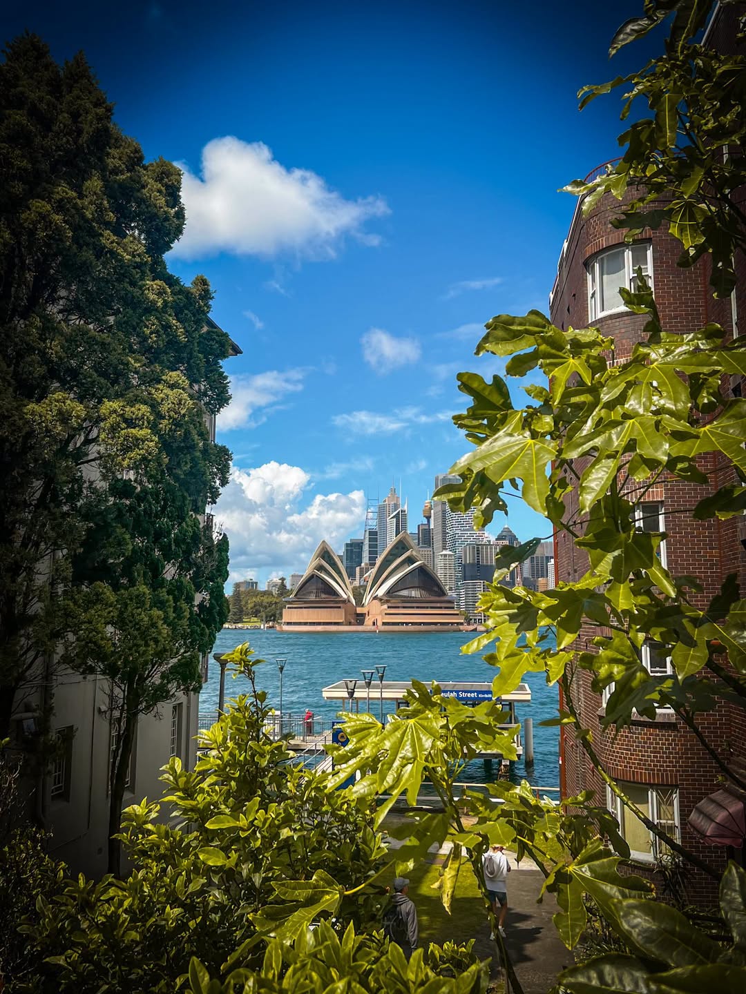 Iconic Sydney Opera House And Beulah Street