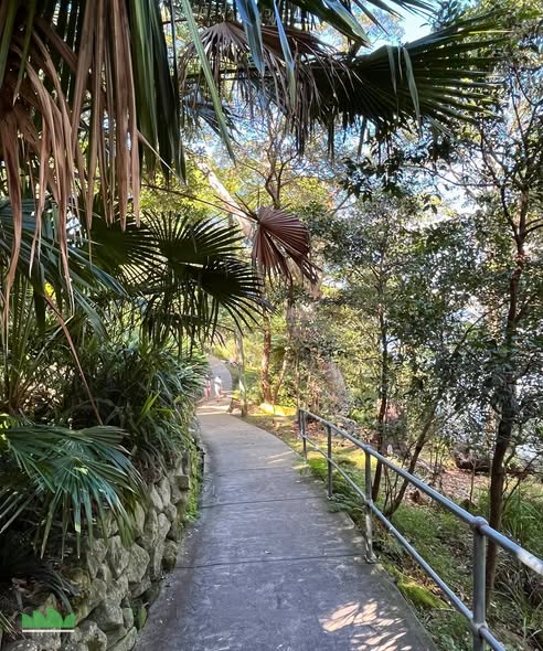 Sydney Harbour Walks With Stunning Views