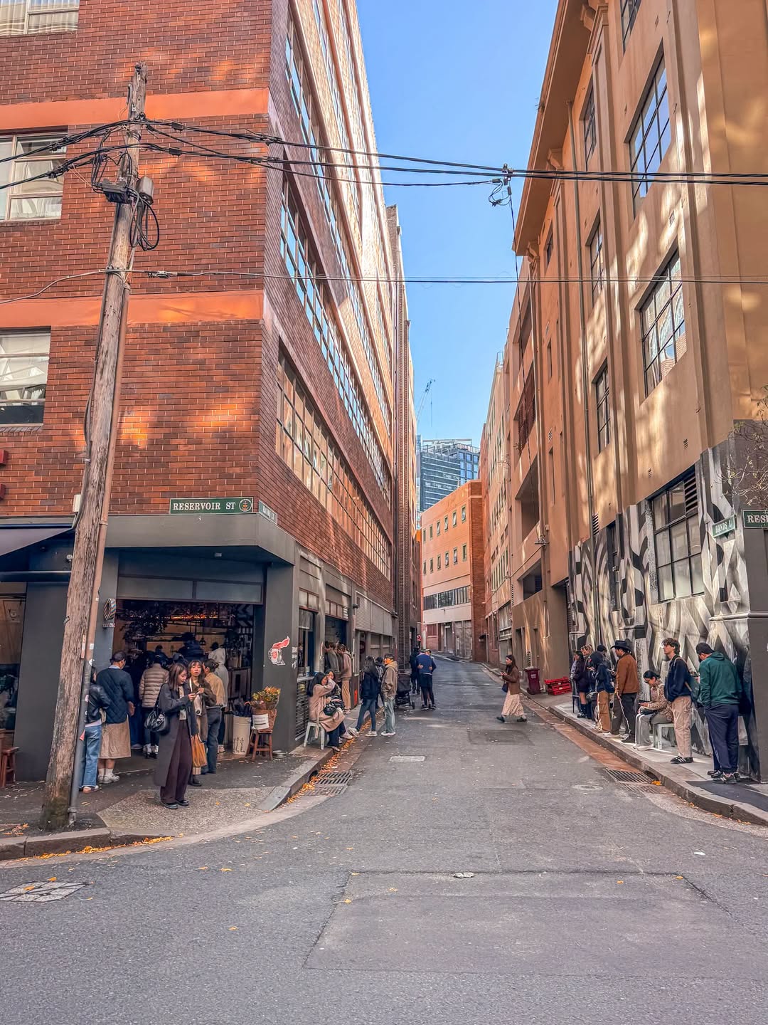 Single O: Sydney's Premier Coffee Destination