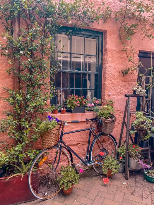 La Renaissance: Charming French Cafe in The Rocks