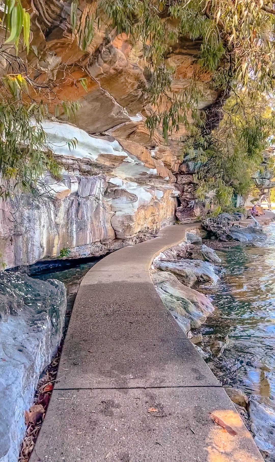 Sydney Coastal Walk: Beaches, Bays and Coffee