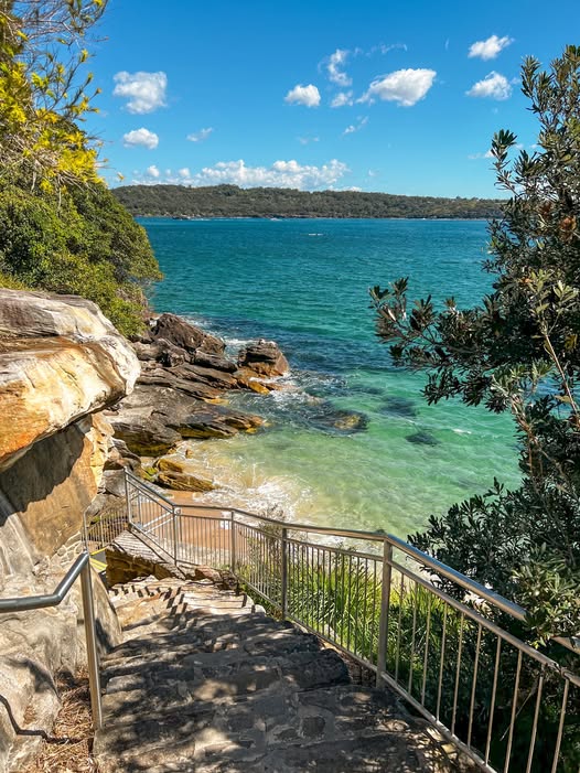 Lady Bay Beach: Sydney's Clothing-Optional Sunbathing Spot