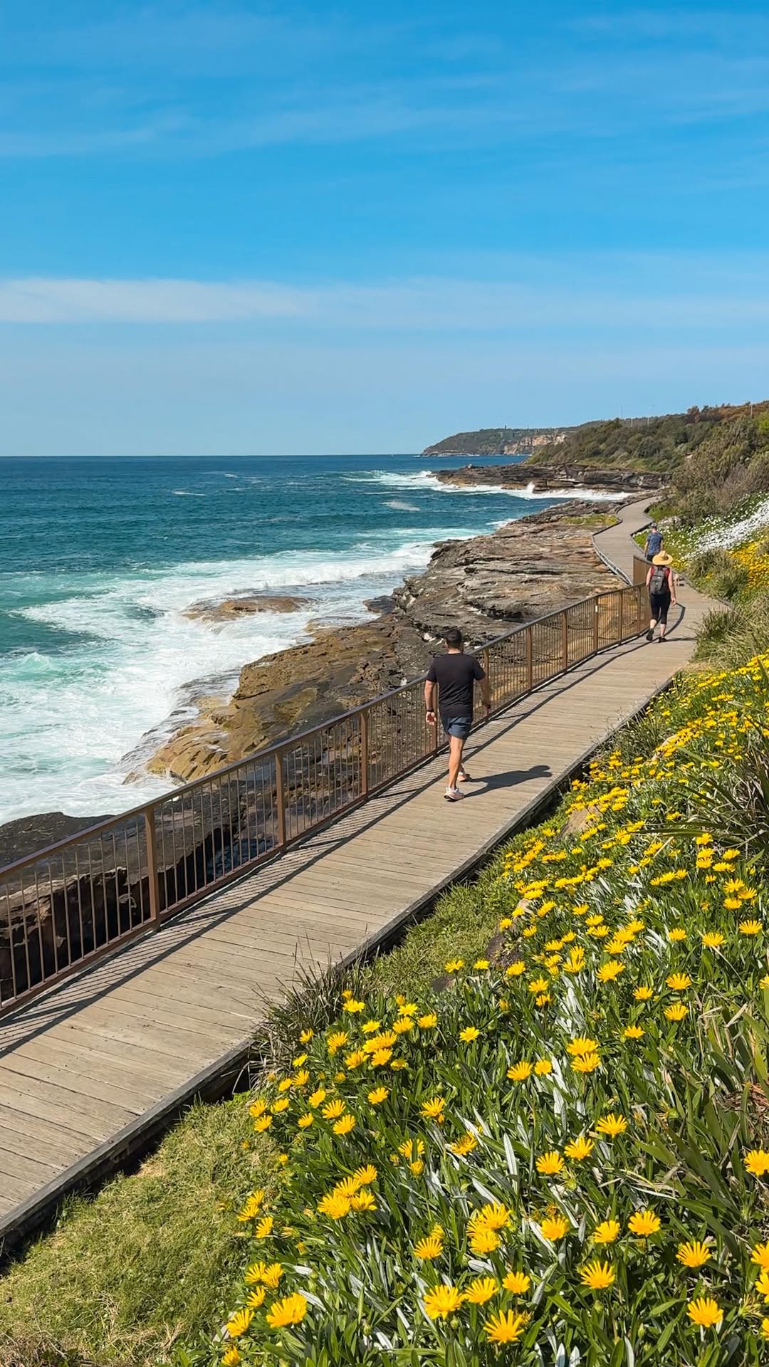 Coastal Walks With Ocean Views