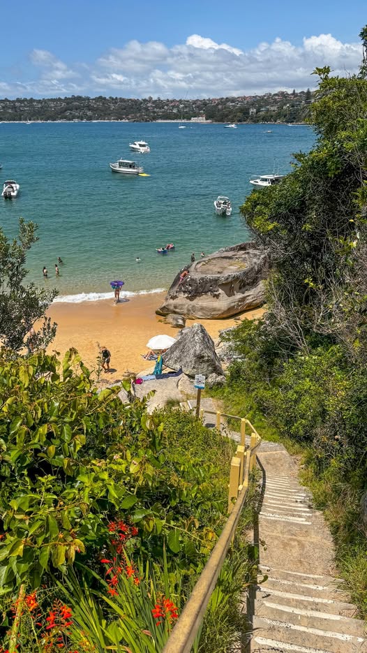Sydney Harbor Beaches On Manly To Spit Walk