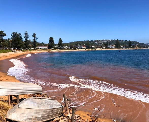 Explore Long Reef Headland And Beach
