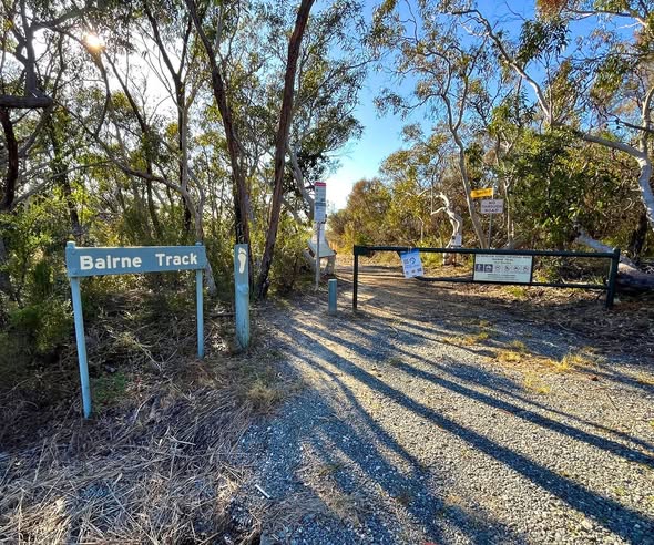 Two Scenic Lookouts on Bairne Track Walk